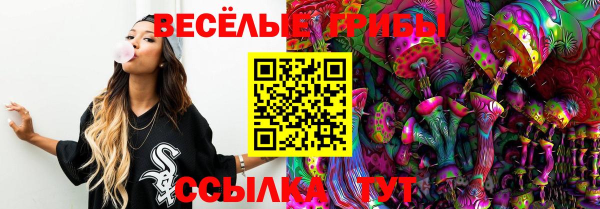 Галлюциногенные грибы Psilocybe Нурлат